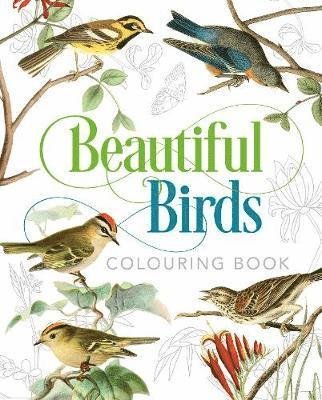 Beautiful Birds Colouring Book - Arcturus Classic Nature Colouring - Peter Gray - Bøker - Arcturus Publishing Ltd - 9781789501063 - 15. mars 2019