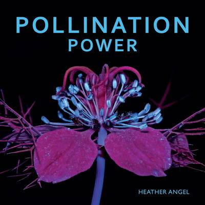 Cover for Heather Angel · Pollination Power (Hardcover Book) [UK edition] (2015)