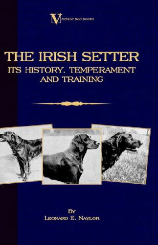 Cover for Leonard E. Naylor · The Irish Setter - Its History, Temperament and Training (A Vintage Dog Books Breed Classic) (Taschenbuch) (2005)