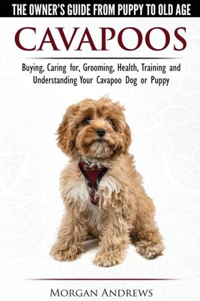 Morgan Andrews · Cavapoos - The Owner's Guide from Puppy to Old Age - Buying, Caring For, Grooming, Health, Training and Understanding Your Cavapoo Dog or Puppy (Pocketbok) (2015)