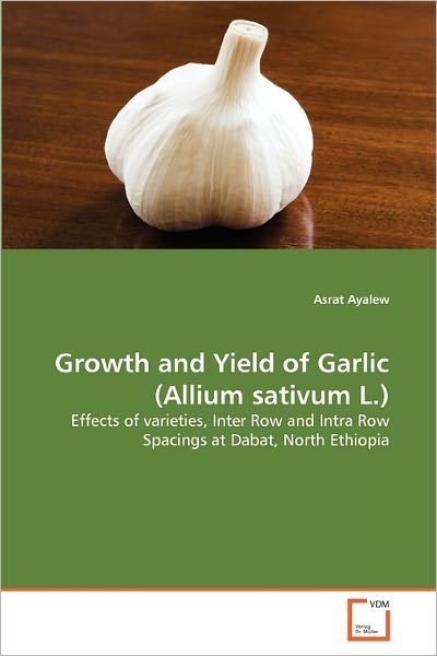 Cover for Asrat Ayalew · Growth and Yield of Garlic (Allium Sativum L.): Effects of Varieties, Inter Row and Intra Row Spacings at Dabat, North Ethiopia (Pocketbok) (2011)
