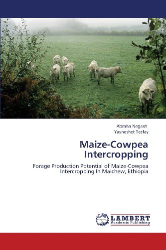 Cover for Yayneshet Tesfay · Maize-cowpea Intercropping: Forage Production Potential of Maize-cowpea Intercropping in Maichew, Ethiopia (Paperback Book) (2013)