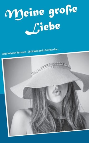 Cover for Melany de Isabeau · Meine grosse Liebe: Liebe bedeutet Vertrauen - Zartlichkeit doch ich lernte eine... (Paperback Book) (2020)