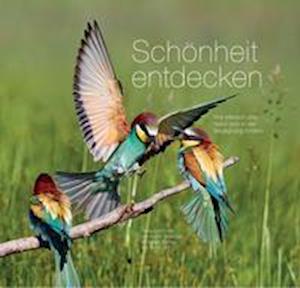 Cover for Martin Sinzinger · Schönheit entdecken (Hardcover Book) (2021)