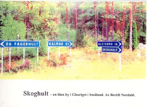 Cover for Bertill Nordahl · Skoghult (Spiralbuch) [1. Ausgabe] (2007)