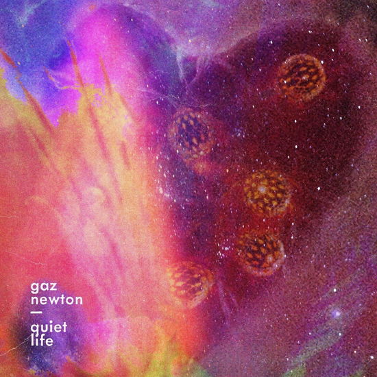 Cover for Gaz Newton · Quiet Life (CD) (2025)