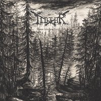 Cover for Ildfar · Som Vinden Farer Vil (CD) [Limited edition] [Digipak] (2021)