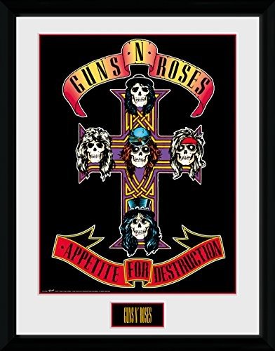 Guns N' Roses: Appetite (Stampa In Cornice 30x40 Cm) - Guns N' Roses - Mercancía -  - 5028486379064 - 