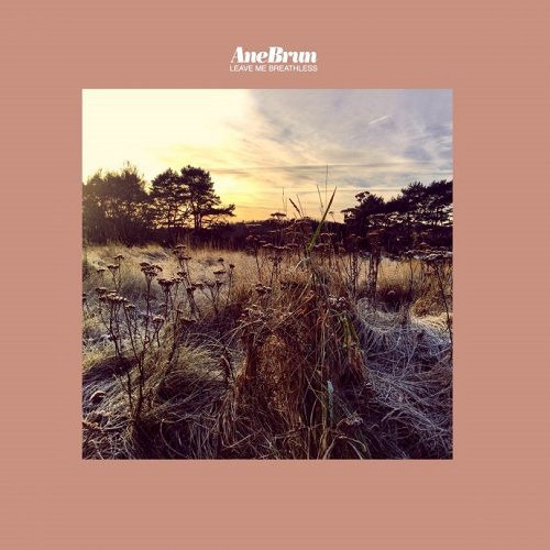 Cover for Brun Ane · Brun Ane - Leave Me Breathless (CD) (2017)