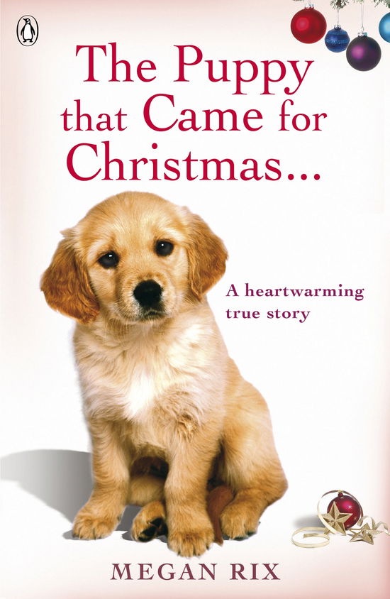 Cover for Megan Rix · The Puppy that Came for Christmas and Stayed Forever (Paperback Book) (2010)