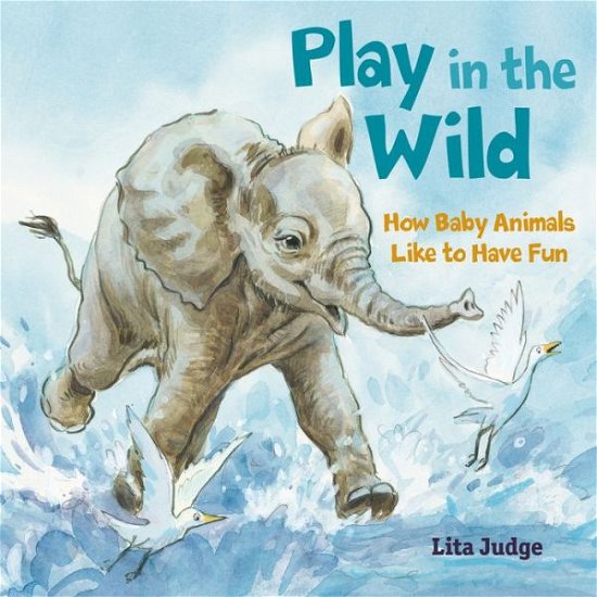 Play in the Wild: How Baby Animals Like to Have Fun - In the Wild - Lita Judge - Livres - Roaring Brook Press - 9781250237064 - 30 juin 2020
