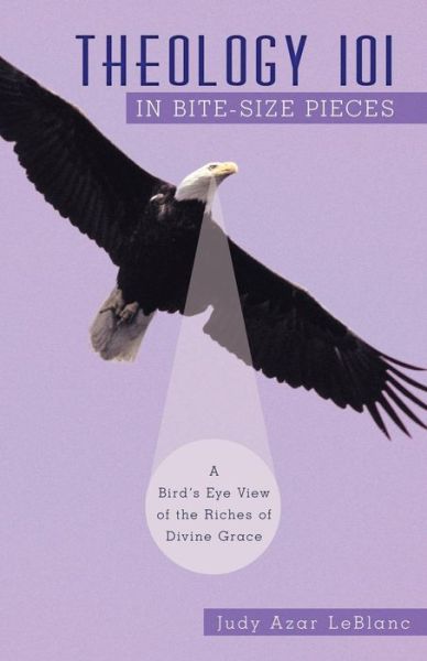 Cover for Judy Azar Leblanc · Theology 101 in Bite-size Pieces: a Bird's Eye View of the Riches of Divine Grace (Pocketbok) (2010)