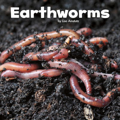 Cover for Lisa J. Amstutz · Earthworms - Little Critters (Hardcover Book) (2016)