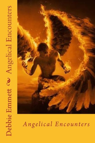 Cover for Mrs Debbie Joy Emmett Pastor · Angelical Encounters (Paperback Book) (2015)