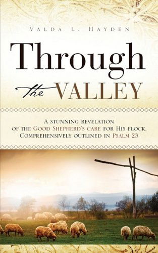Cover for Valda Hayden · Through the Valley (Paperback Book) (2009)