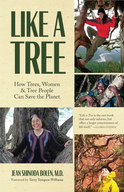 Like a Tree: How Trees, Women, and Tree People Can Save the Planet (Ecofeminism, Environmental Activism) - Jean Shinoda Bolen - Books - Mango Media - 9781642504064 - March 16, 2021