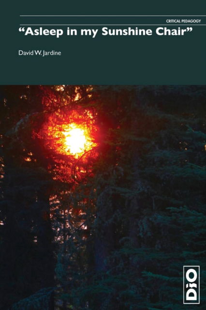 Cover for David W Jardine · Asleep in my Sunshine Chair - Critical Pedagogy (Paperback Book) (2019)