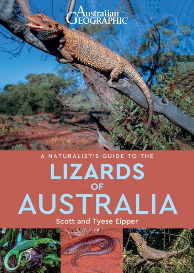 Cover for Scott Eipper · A Naturalist's Guide to the Lizards of Australia - Naturalist's Guide (Pocketbok) (2021)