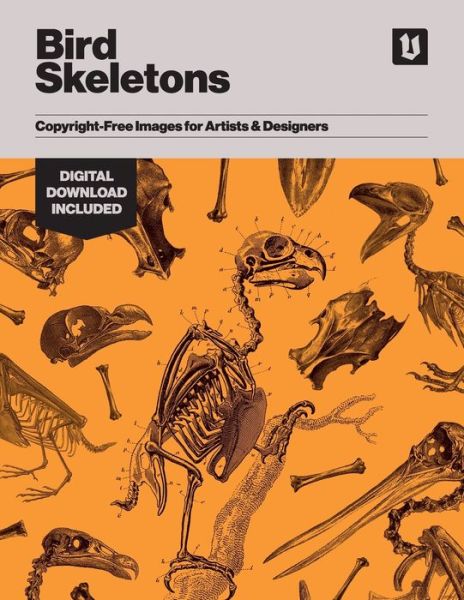 Cover for Kale James · Bird Skeletons: Copyright-Free Images for Artists &amp; Designers (Paperback Book) (2019)