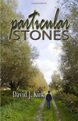 Cover for David J. Kirk · Particular Stones (Pocketbok) (2011)