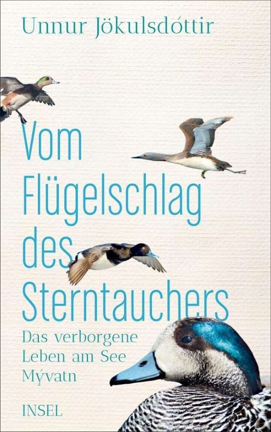 Cover for Jökulsdóttir · Vom Flügelschlag des Stern (Buch)