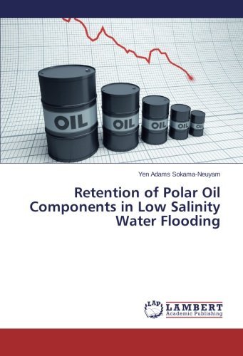 Cover for Yen Adams Sokama-neuyam · Retention of Polar Oil Components in Low Salinity Water Flooding (Taschenbuch) (2013)