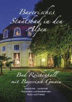 Cover for Albert Hirschbichler · Bayerisches Staatsbad in den Alpen (Paperback Book) (2008)