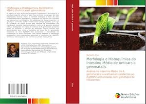 Cover for Cruz · Morfologia e Histoquímica do Intes (Book)