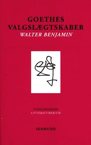 Cover for Walter Benjamin · Tyngdeserien: Goethes valgslægtskaber (Taschenbuch) [1. Ausgabe] (2020)