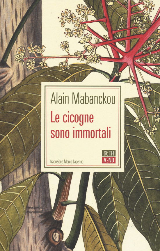 Cover for Alain Mabanckou · Le Cicogne Sono Immortali (Book)