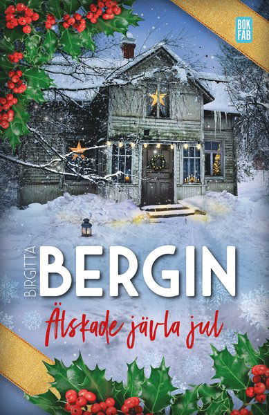 Älskade jävla jul - Birgitta Bergin - Bücher - Bokfabriken - 9789178353064 - 16. Oktober 2020