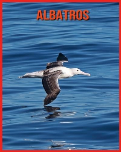 Cover for Linda Davis · Albatros (Paperback Book) (2021)