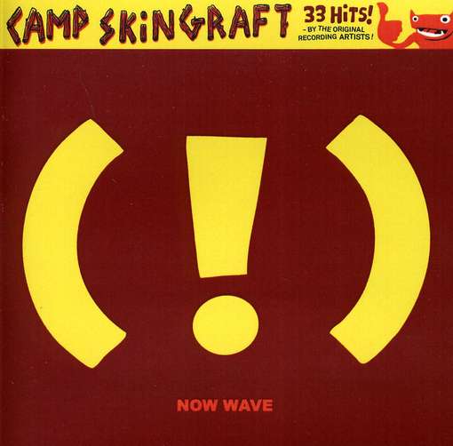 Cover for Camp Skin Graft ! Now Wave (CD) (2016)