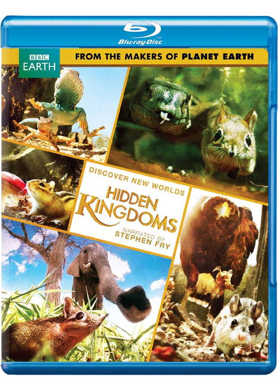 Cover for Hidden Kingdom (Blu-ray) (2014)