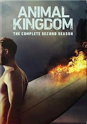 Cover for Animal Kingdom: the Complete Second Season (DVD) (2018)