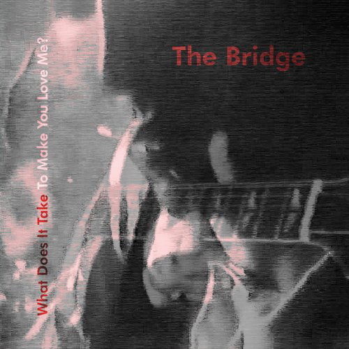 Cover for Bridge · What Does It Take to Make You Love Me? (CD) [Japan Import edition] (2015)