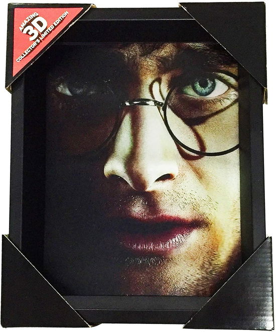 Harry Potter (Harry Vs Voldemort) - Framed - P.derive - Bøker - PYRAMID INTERNATIONAL - 5051265850065 - 1. februar 2024