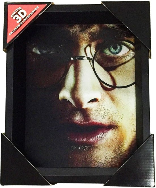 Cover for P.derive · Harry Potter (Harry Vs Voldemort) - Framed (Taschenbuch) (2024)
