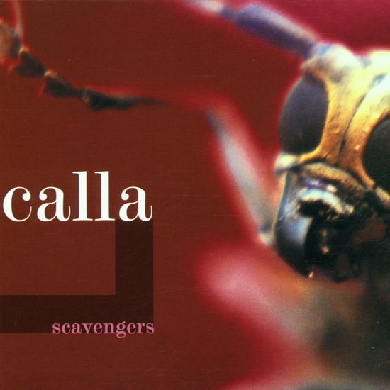 Cover for Calla · Calla - Scavengers (CD)