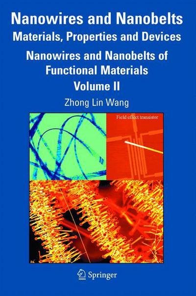 Cover for Z L Wang · Nanowires and Nanobelts: Materials, Properties and Devices: Volume 2: Nanowires and Nanobelts of Functional Materials (Taschenbuch) [2003 edition] (2005)
