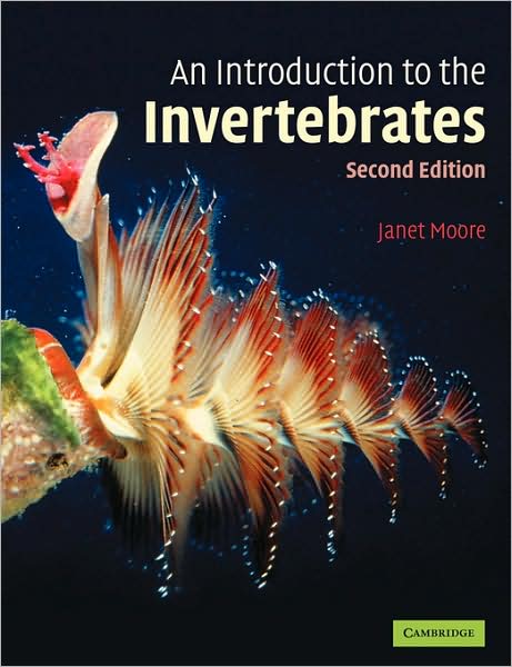 Cover for Moore, Janet (New Hall, Cambridge) · An Introduction to the Invertebrates (Paperback Book) [2 Revised edition] (2006)