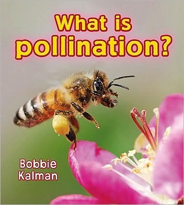 Cover for Bobbie Kalman · What is pollination? - Big Science Ideas (Paperback Book) (2010)