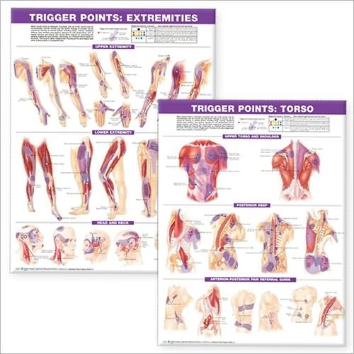 Cover for Anatomical Chart Com · Trigger Point Chart Set: Torso &amp; Extremities Paper (Map) (2007)