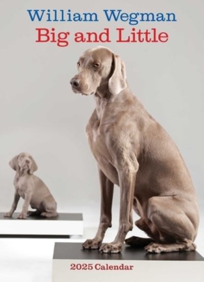 William Wegman · William Wegman Big and Little 2025 Wall Calendar (Kalender) (2024)