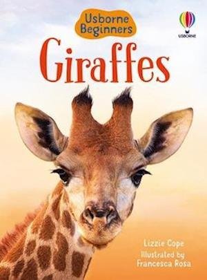 Cover for Lizzie Cope · Giraffes - Beginners (Hardcover Book) (2022)