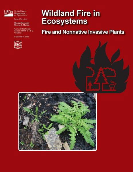 Cover for U S Department of Agriculture · Wildland Fire in Ecosystems Fire and Nonnative Invasive Plants (Paperback Book) (2015)