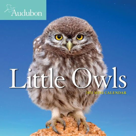 Cover for National Audubon Society · 2021 Audubon Little Owls Mini Wall Calendar (Calendar) (2020)