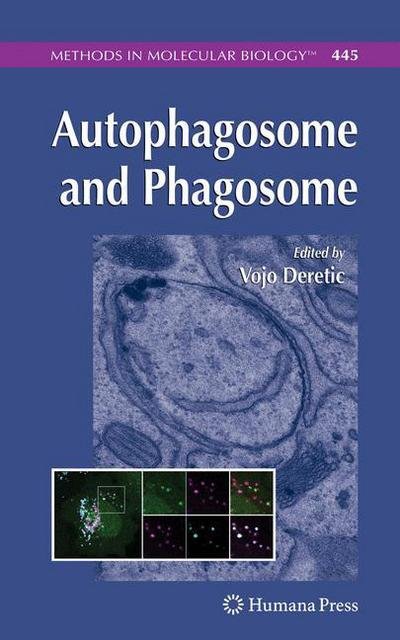 Cover for Vojo Deretic · Autophagosome and Phagosome - Methods in Molecular Biology (Pocketbok) [Softcover reprint of hardcover 1st ed. 2008 edition] (2010)