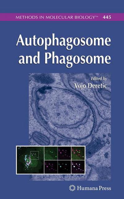 Cover for Vojo Deretic · Autophagosome and Phagosome - Methods in Molecular Biology (Paperback Book) [Softcover reprint of hardcover 1st ed. 2008 edition] (2010)