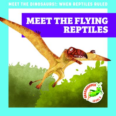 Cover for Rebecca Donnelly · Meet the Flying Reptiles (Paperback Book) (2022)